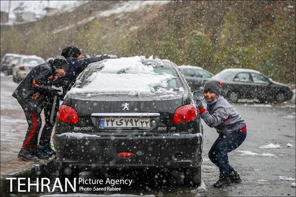 بارش نخستین برف پاییزی در تهران 30