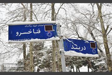 تهران برفی  12