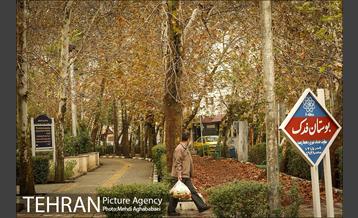 سمفونی برگ های پاییزی 1