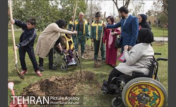 درختکاری و لانه گذاری کبوتر در بوستان بعثت 35