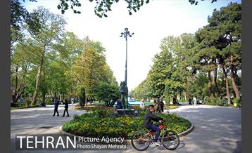 رویش گل های لاله در پارک شهر 19