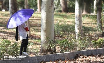 گذر پاییزی بوستان بعثت 10