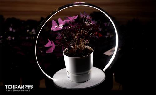 بیستمین نمایشگاه بین‌المللی گل و گیاه 24