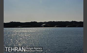 دریاچه شهدای خلیج فارس 17