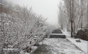 بارش برف زمستانی در تهران 37