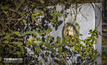 آرامستان ارتدوکس‌های تهران  6