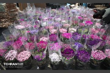 بازار گل شهید محلاتی در آخرین روزهاى سال 42
