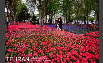 جشنواره لاله‌ها در بوستان زندگی محله هرندی 17