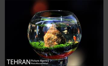 بازار امام زاده حسن در آستانه عید نوروز 23