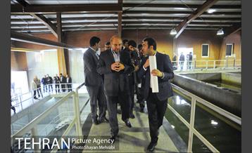 بهره برداری همزمان از 3 پروژه عمرانی پایتخت 18