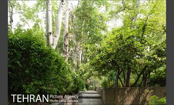 بوستان نیاوران 30