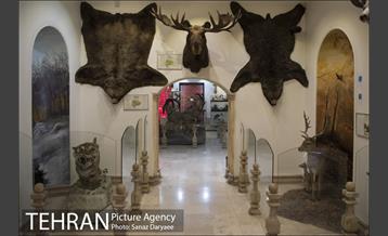 موزه طبیعت و حیات وحش ایران دارآباد‎ 12