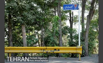 پارک جنگلی چیتگر 3