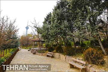 باغ راه فدک 17