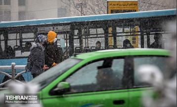 بارش برف زمستانی در شمیران  19