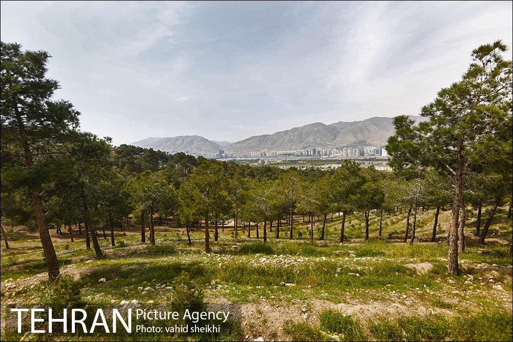 پارک چیتگر 14