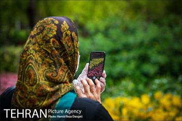 لاله های باغ ایرانی 17