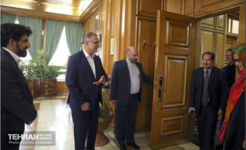 دیدار وزیر حمل و نقل و شهردار ماناگوئا (نیکاراگوئه) با شهردار تهران