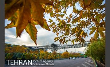 پاییز پل طبیعت 7