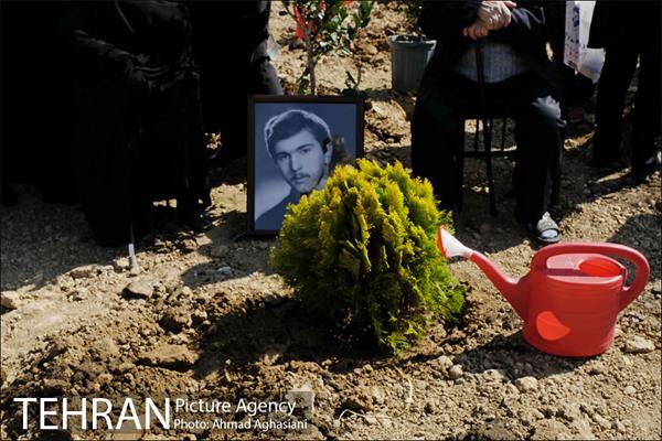 روز درختکاری در بوستان تبسم 15