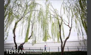 پارک آب و آتش 8