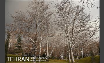 پارک ملت در یک روز زمستانی 7