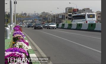 گل آرایی پل سیدخندان 30