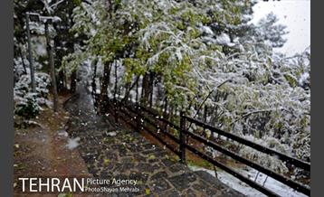 بارش برف پاییزی در بوستان طالقانی 34