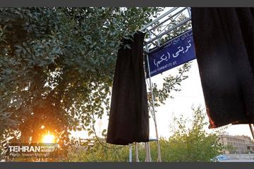 بزرگداشت و پلاک‌کوبی خیابان شهید شیخ احمد تربتی 2