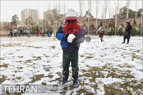 روز برفی در باغ موزه قصر‎ 13