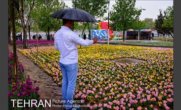 جشنواره لاله‌ها در بوستان زندگی محله هرندی 19
