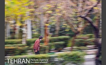 سمفونی برگ های پاییزی 13