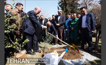 آیین کاشت درخت مادر 32
