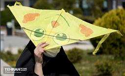 جشنواره بادبادک ها در برج میلاد 11