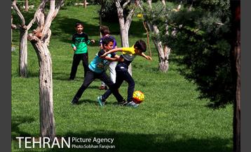 بوستان پرواز 24