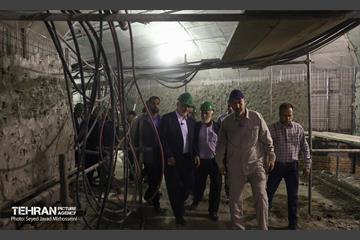 بازدید از دو ایستگاه مهم مترو 31