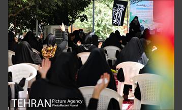 زیر آسمان روضه 16