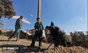 آیین کاشت گیاهان بومی پایتخت در برج میلاد 21