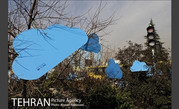 برپایی مراسم روز هوای پاک در میدان ونک 18