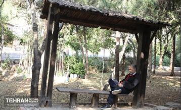 طبیعت پاییزی باغ راه فدک تهران 39