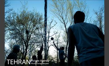 ورزش والیبال در پارک لاله‎ 6