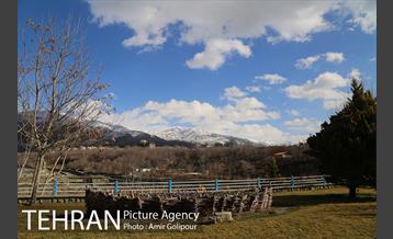 هوای پاک تهران 11