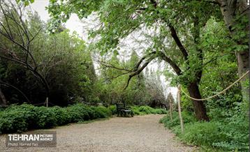 باغ گیاه‌شناسی 18