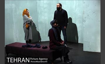 نمایش پروانه الجزایری 14