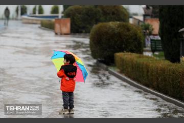 بارش باران زمستانی در تهران 8