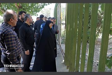 بازدید عضو کمیسیون اجتماعی و فرهنگی شورا از منطقه 17 5