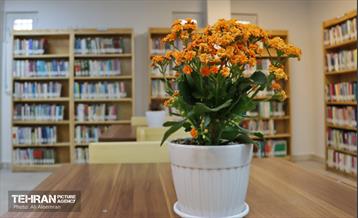 افتتاحیه فرهنگ‌ سرای سلامت 13