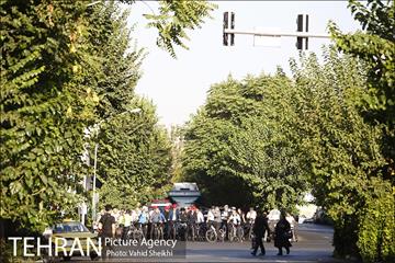 پویش سه شنبه های بدون خودرو 7