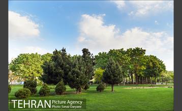 بوستان پلیس 2