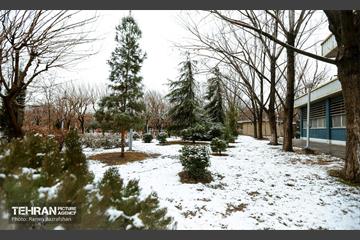 روز برفی در منطقه 8 18